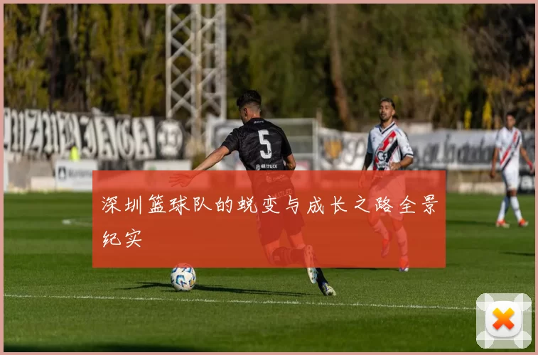 深圳篮球队的蜕变与成长之路全景纪实