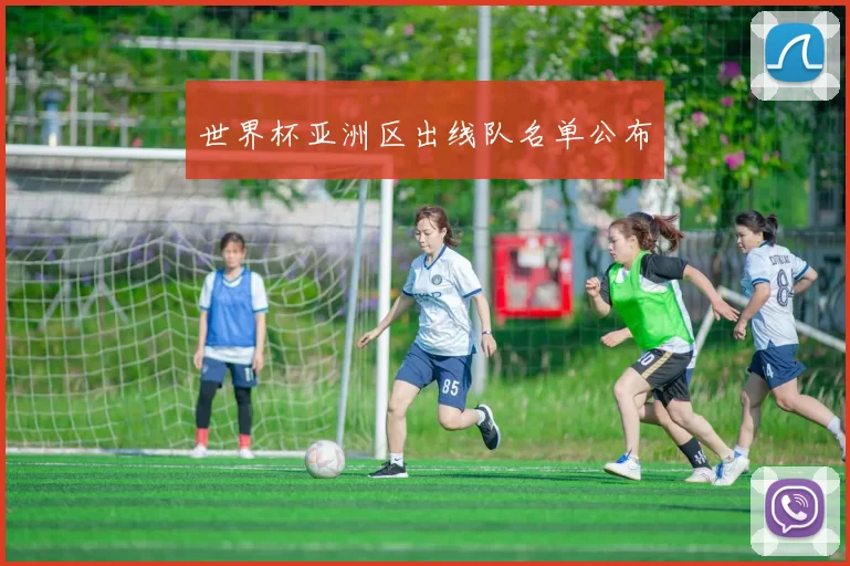 世界杯亚洲区出线队名单公布