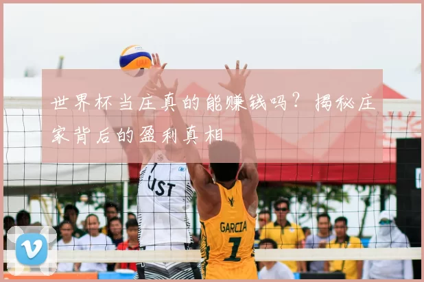 世界杯当庄真的能赚钱吗?揭秘庄家背后的盈利真相