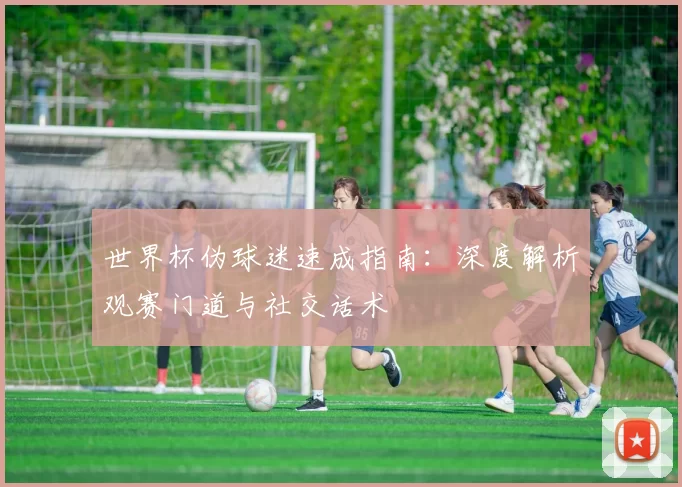 世界杯伪球迷速成指南：深度解析观赛门道与社交话术