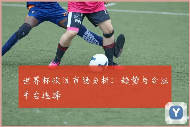 世界杯投注市场分析：趋势与合法平台选择