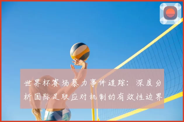 世界杯赛场暴力事件追踪:深度分析国际足联应对机制的有效性边界