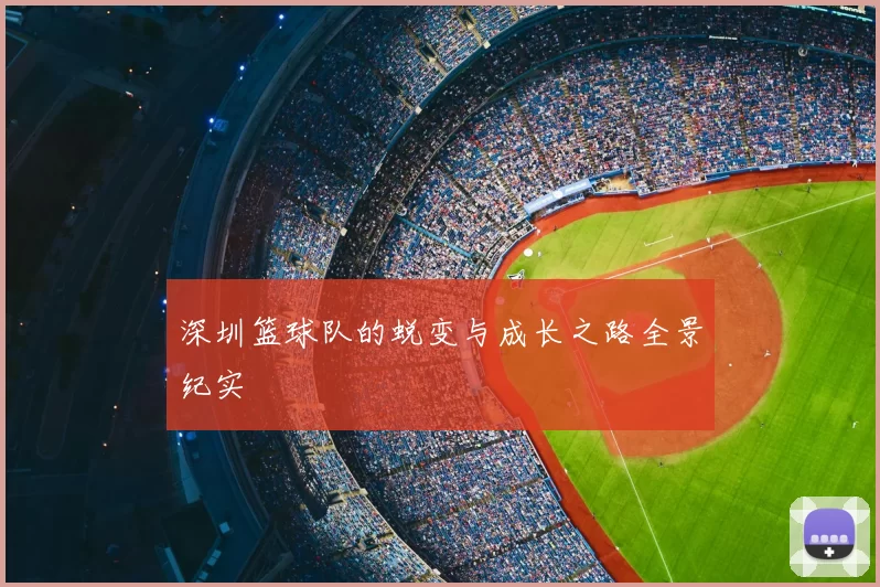 深圳篮球队的蜕变与成长之路全景纪实