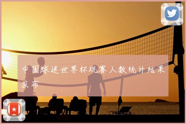 中国球迷世界杯观赛人数统计结果发布