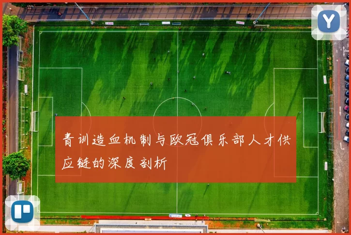 青训造血机制与欧冠俱乐部人才供应链的深度剖析