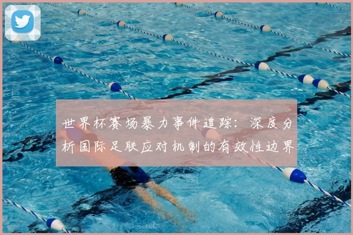 世界杯赛场暴力事件追踪：深度分析国际足联应对机制的有效性边界