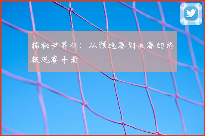 揭秘世界杯：从预选赛到决赛的终极观赛手册