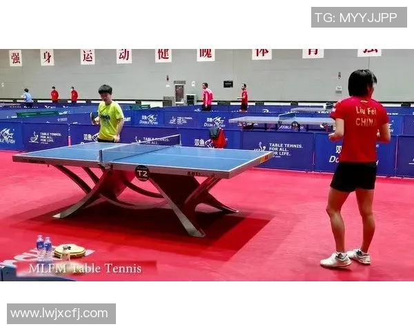 从零基础到高手之路乒乓球灵活性训练全方位指南 从零基础到高手之路乒乓球灵活性训练全方位指南