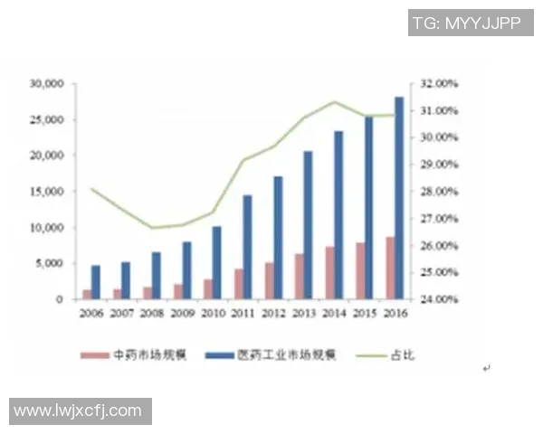 深度解析深圳排球队的运营模式与发展策略探秘