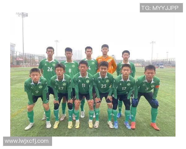 英超世界杯预选赛中西安足球队技术表现的全面分析与点评