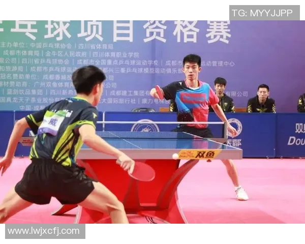 英超乒乓球盛宴揭秘杭州乒乓球队的耐力与训练秘诀
