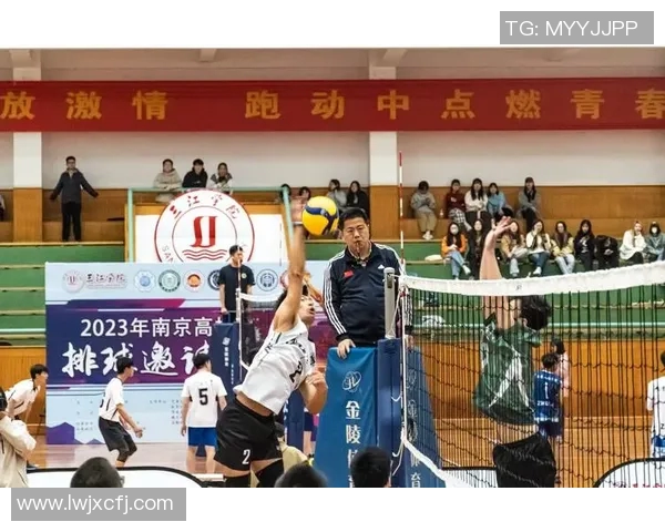 排球巨献揭秘北京排球队背后的强大力量与奋斗故事