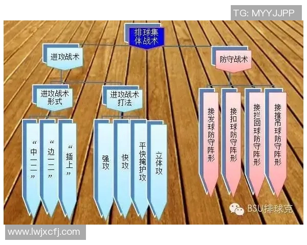 运动最新数据广州排球队中路突破策略解析与战术深度剖析